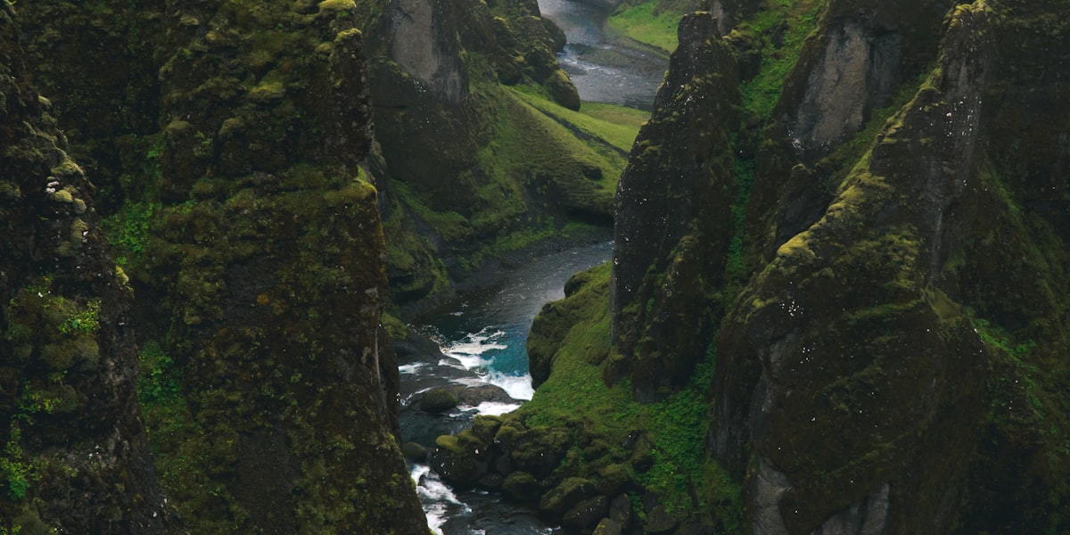 American-made coolers